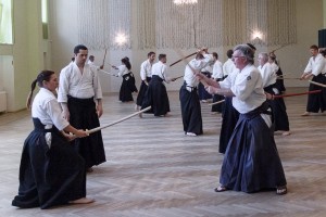 aikido chrzanow stickles