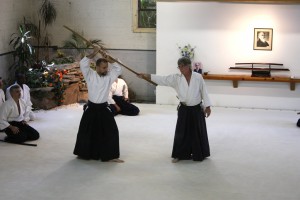 aikido chrzanow stickles burnos