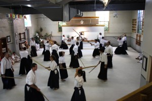 asnj aikido